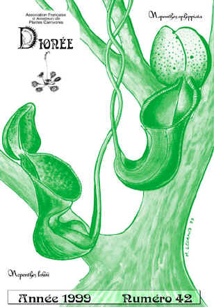 Dionee.JPG (22440 octets)